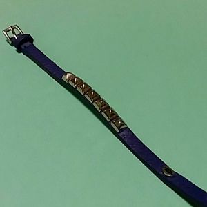 🔥🔥Juicy Couture Petite Studded  (d. Purple)